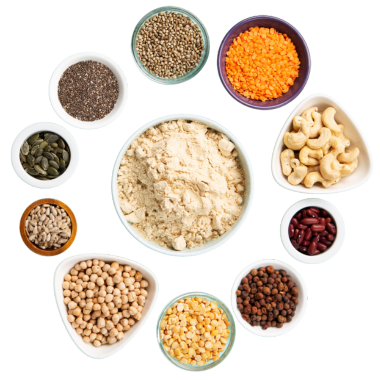 Protein không hoàn chỉnh