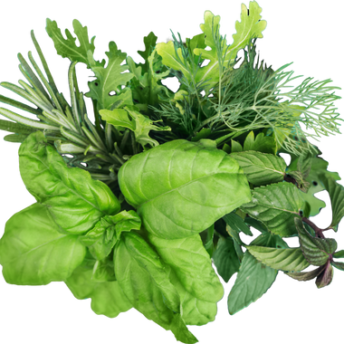 Rau thơm (Herbs)