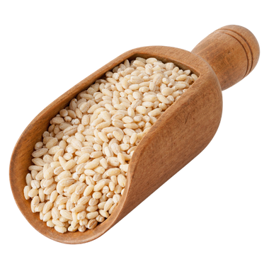 Lúa mạch ngọc trai