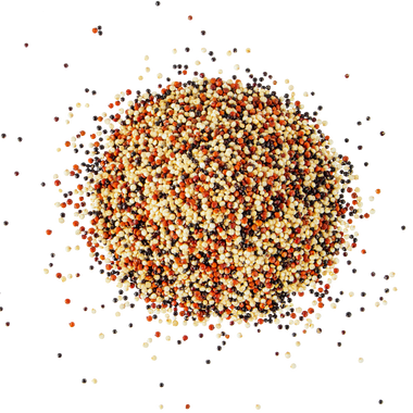 Quinoa