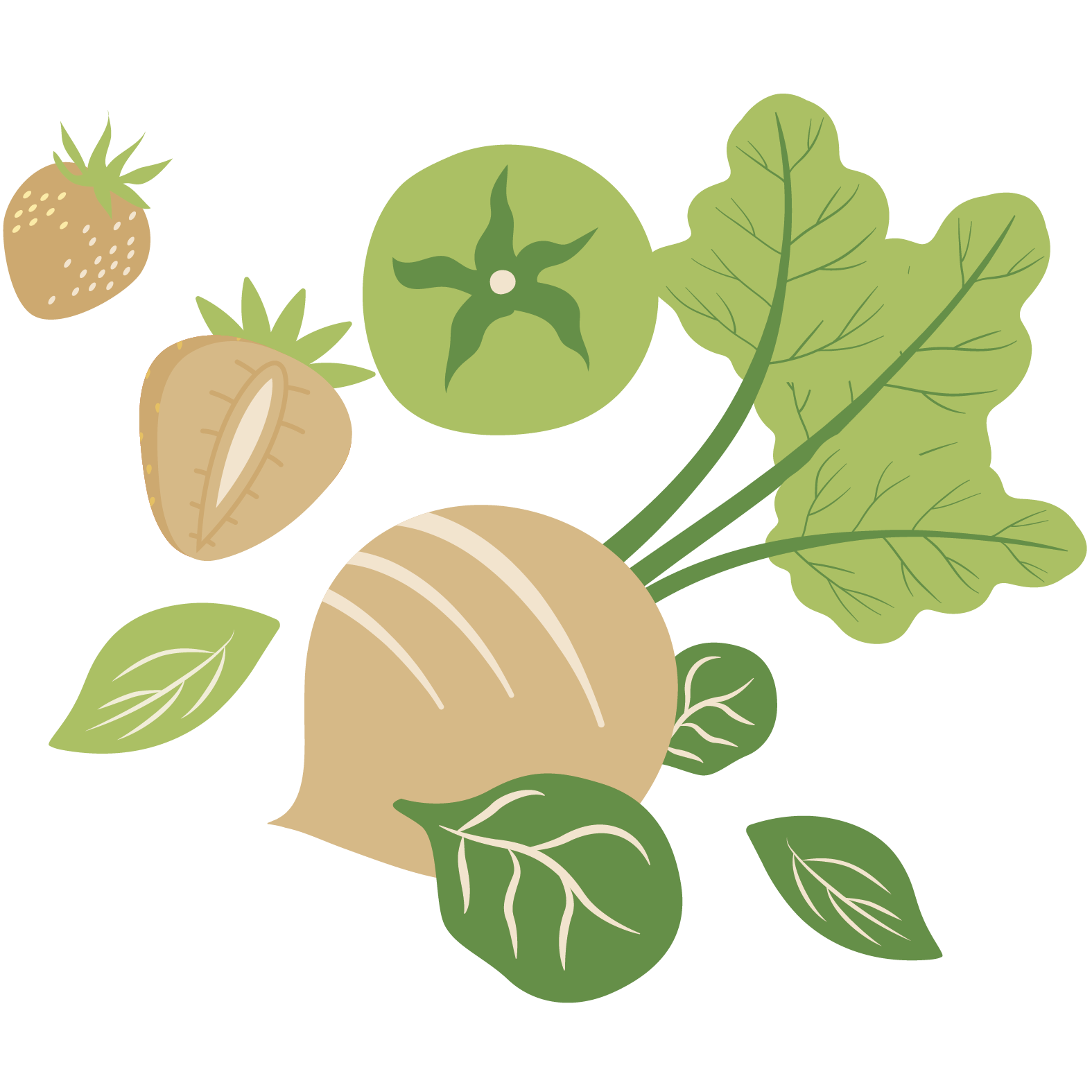 Herbal Tea and Decaf-coffee