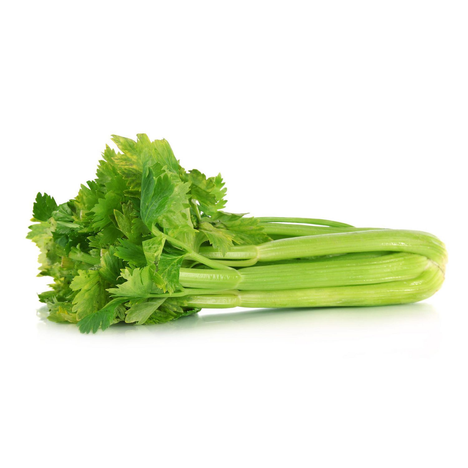 Celery VietGAP