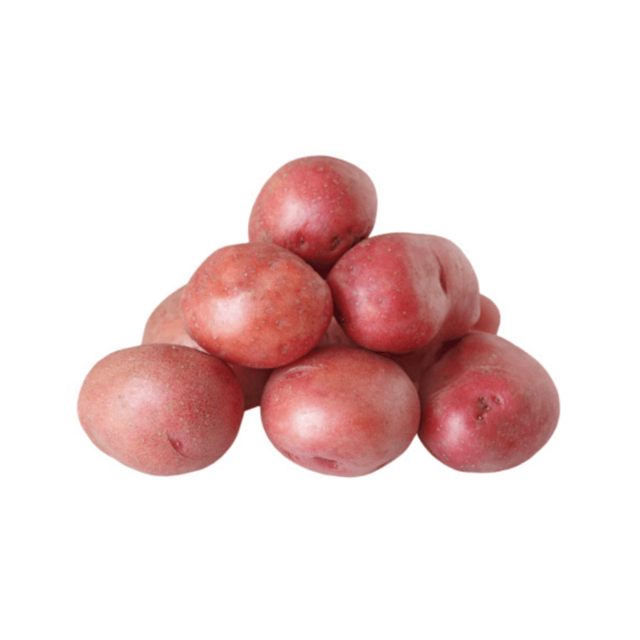 Potato Red USA