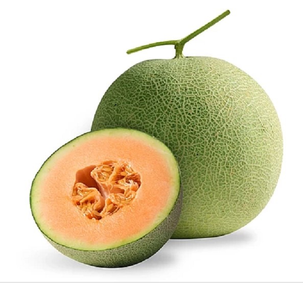 SeaMoon Musk Melon Organic(1500g)