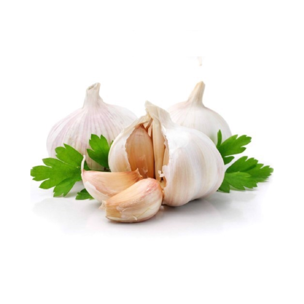 Garlic Lotus (g)