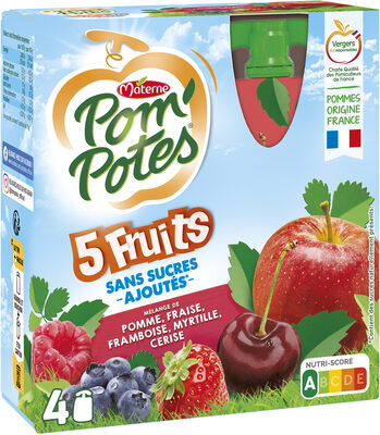 Materne Pom'Potes 5 Fruits Puree (4x90g)