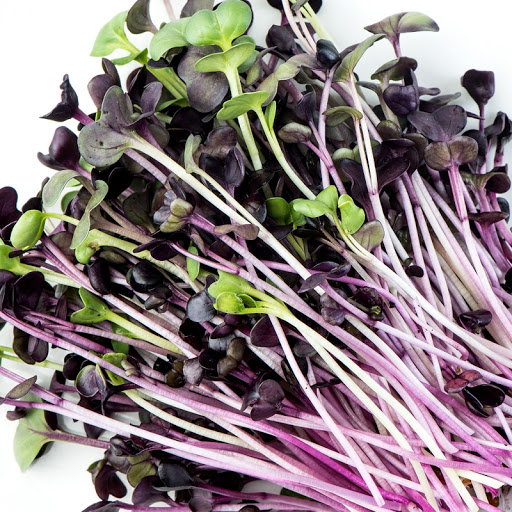 Styles Purple Sprouts NZ