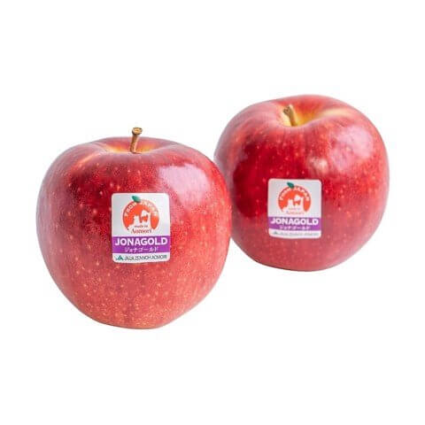 Apple Jonagold Japanese (g)