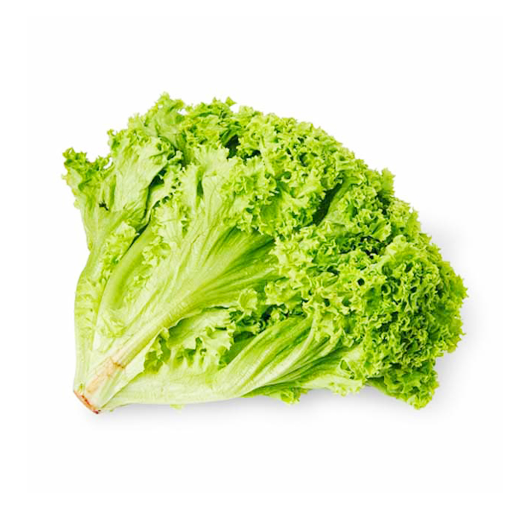 Lollo Green VietGAP