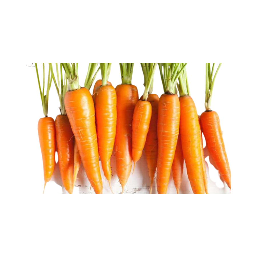 Carrot Dalat VietGAP