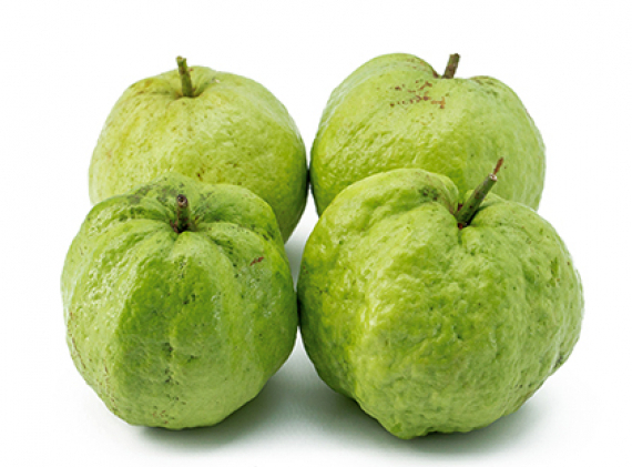 Nữ Hoàng Guava (g)