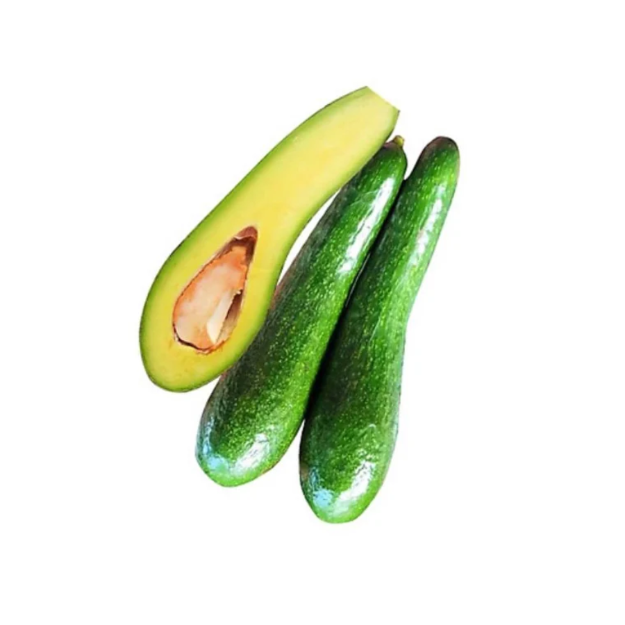 Avocado 034 V.GAP PHT(g)