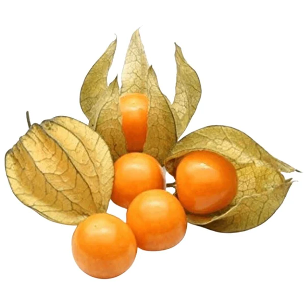 Golden Berry South America (150g)