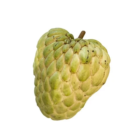 Custard Apple Thailand 350g up (g)