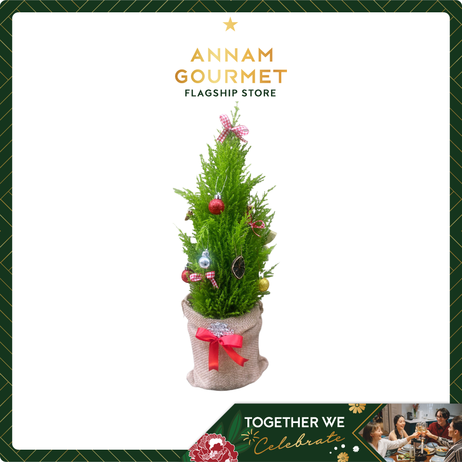 Christmas tree mini 02