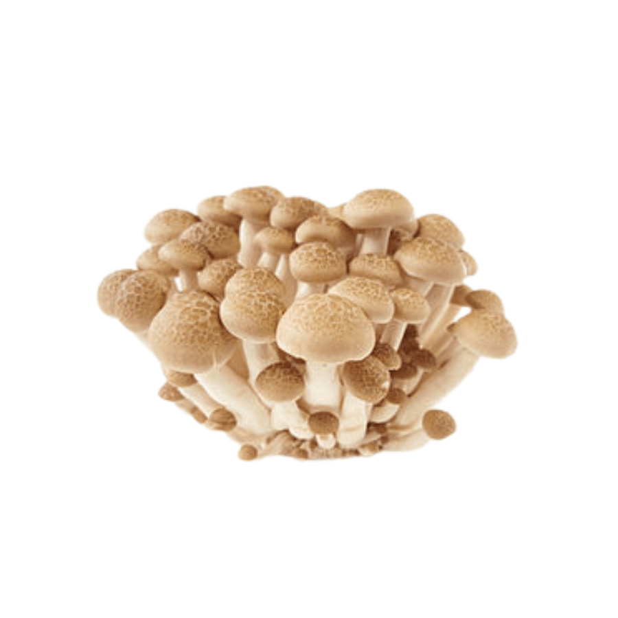 Mushrooms Swiftlet (150g)