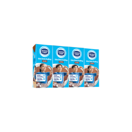 Dutch Lady UHT Milk Chocolate Flavor (4x180ml)