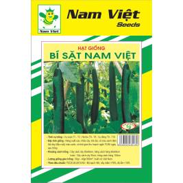 NV Seed of Zucchini