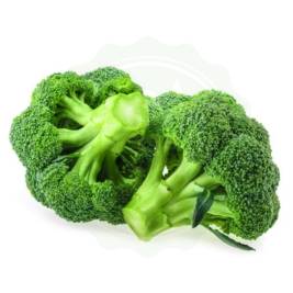 Broccoli