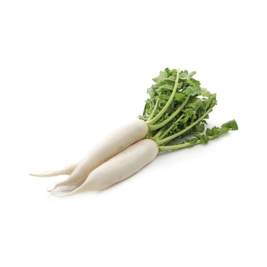 White Radish 