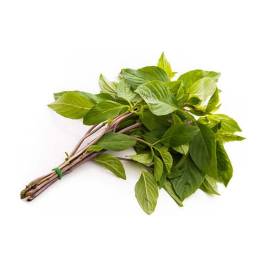 Basil Thai 