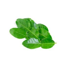 Kaffir Lime Leaf VietGAP