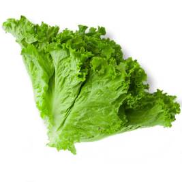 Lettuce Organic (250g) 