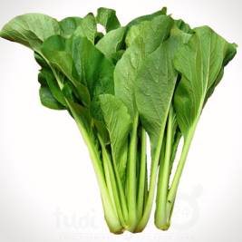 Brassica Integrifolia Organic