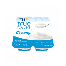 TH Yogurt Creamy (4x100g)