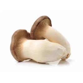 Eryngii Mushroom Korean Baby (200g)