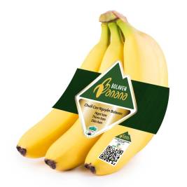 Bolaven Plateau Bananas - Delicious, Safe (650g)