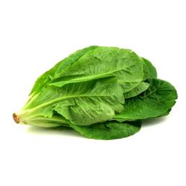 Fresh Organic Romaine Lettuce (250g)