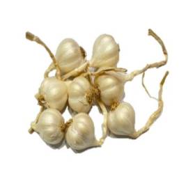 Garlic Lý Sơn (300g)