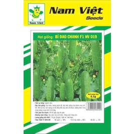 NV Hạt Giống Bí Đao Chanh NV 19