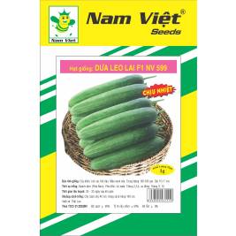 Hạt Giống Dưa Leo NV 507