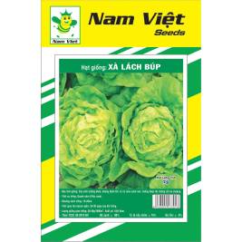 NV Seed of Ice buerg lettuce