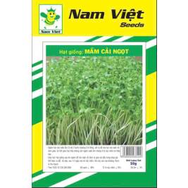 NV Hạt Giống Mầm Cải Ngọt