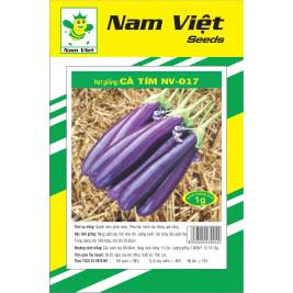 NV Seed of Eggplant F1