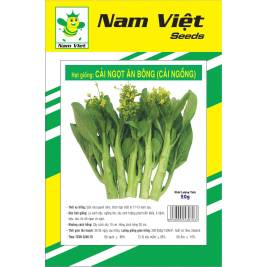 NV Seed of Kale ( get flower)