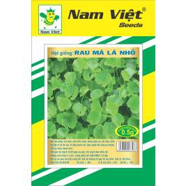NV Hạt giống Rau Má Lá Nhỏ