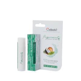 Coboté Son Dưỡng Thực Phẩm 0 Màu-Bạc Hà (5G)