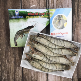 Tôm sú nguyên con sinh thái size 6 SPD (500g)