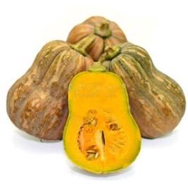 Pumkin Organic VG (g)