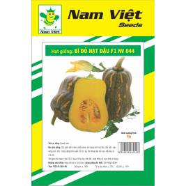 NV Hạt Giống Bí Đỏ Hạt Đậu NV 044