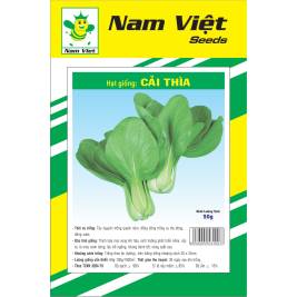 NV Seed of bok choy