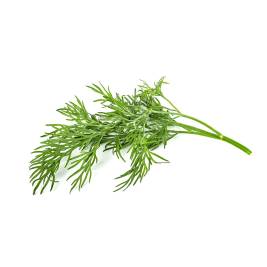 Dill (100g)
