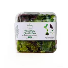 Mixed baby garnish leaves