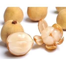 Bòn Bon