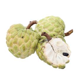Custard Apple Ba Den VietGAP