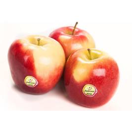 Apple Ambrosia US (g)